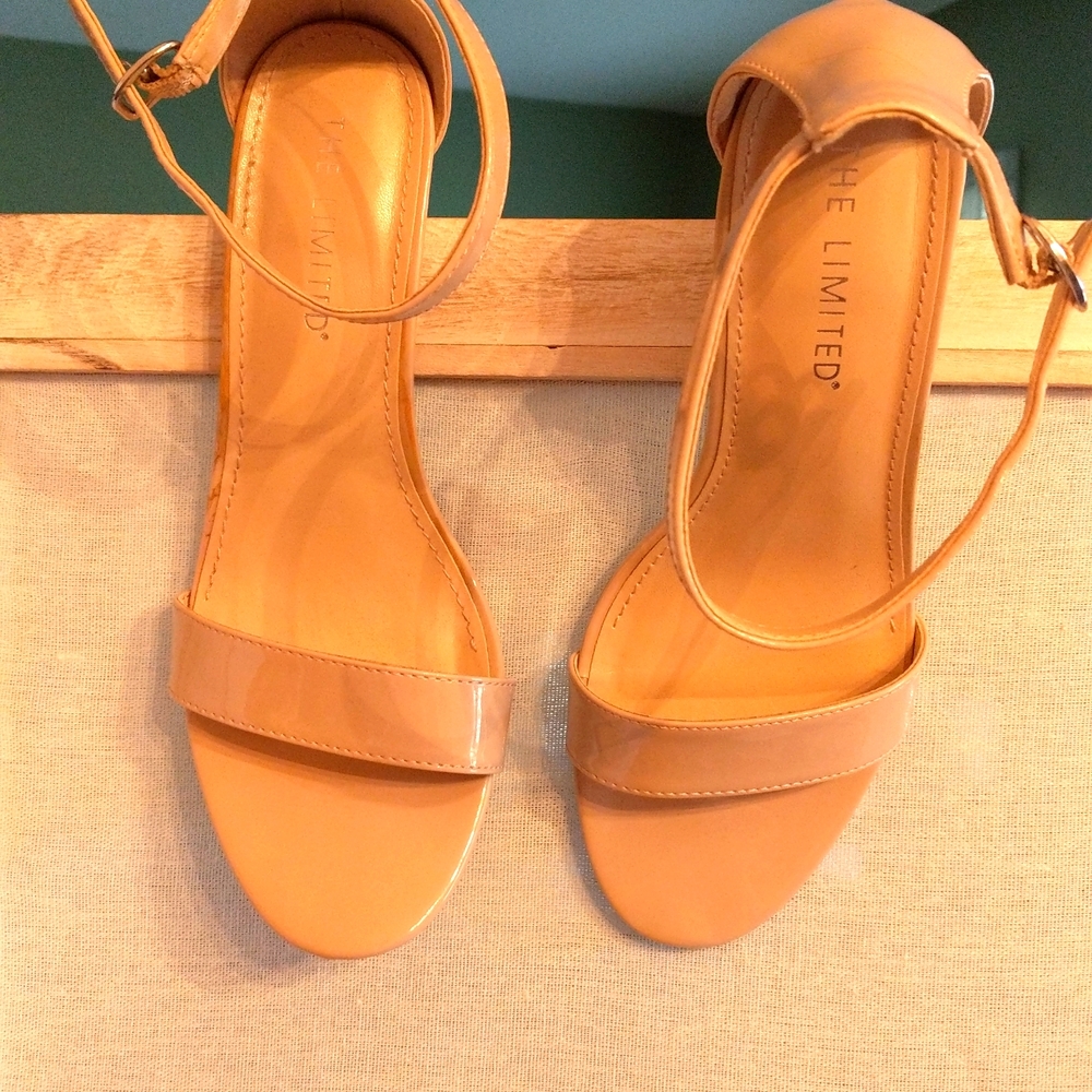 The Limited Strapped Sandals with Heel